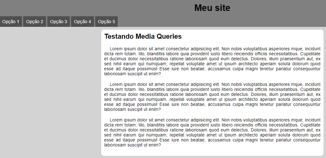 Foto do projeto media query